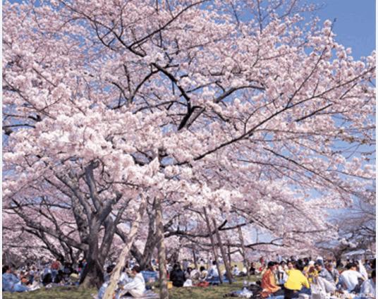 三神峯公園：700m