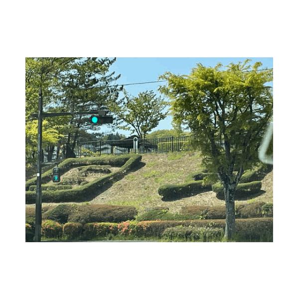 国見ケ丘5号緑地:542m