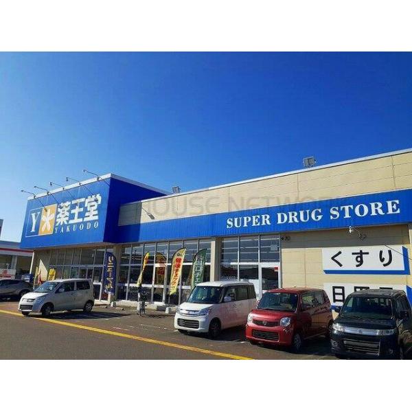 薬王堂宮城大富店:782m