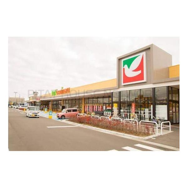 ヨークベニマル仙台六丁の目店:490m