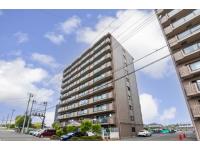 現地（2025年5月）撮影