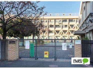 墨田区立第二寺島小学校：376m