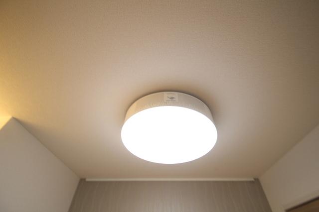 ラリュール谷在家（101） 部屋画像