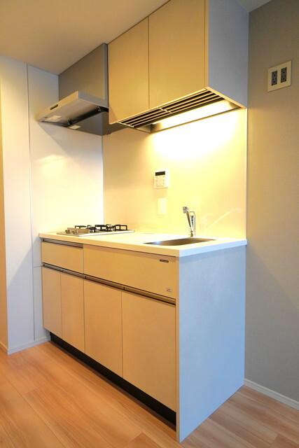 ルフォンプログレ西大井プレミア（1101） 部屋画像