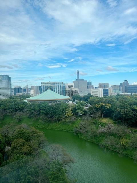 パークマンション千鳥ヶ淵（1103） 眺望