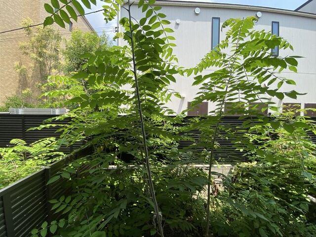 Hogar Ca'lido（102） 部屋画像