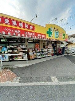 どらっぐぱぱす板橋徳丸店：363m