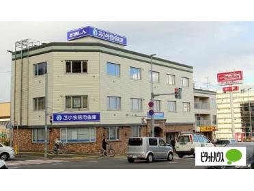 苫小牧信用金庫豊平支店：412m