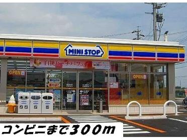 ミニストップ：300m