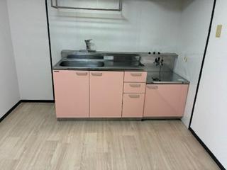 アンドービル（302） キッチン