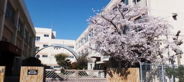 名古屋市立野田小学校：564m