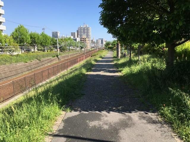 公園
