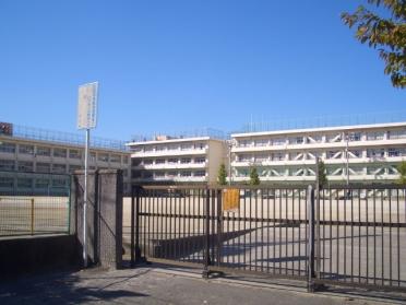 市川市立大野小学校：155m