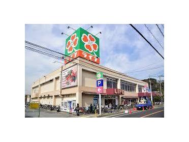 ライフ市川国分店