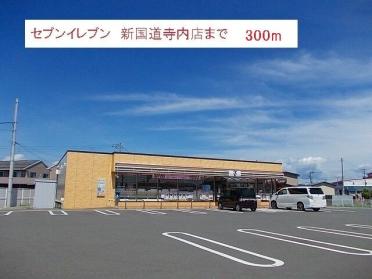 セブンイレブン　新国道寺内店：300m