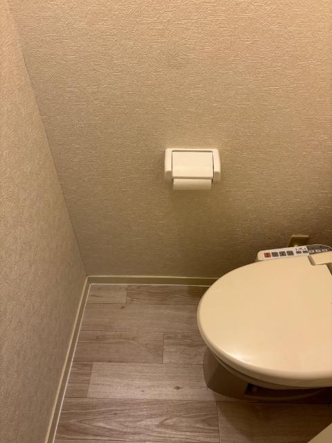 パークサイドテラス（D） トイレ
