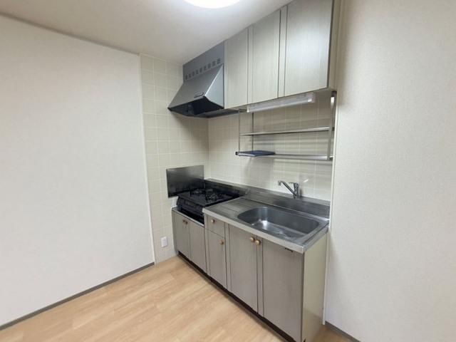 エルマールウィスタ（102） キッチン