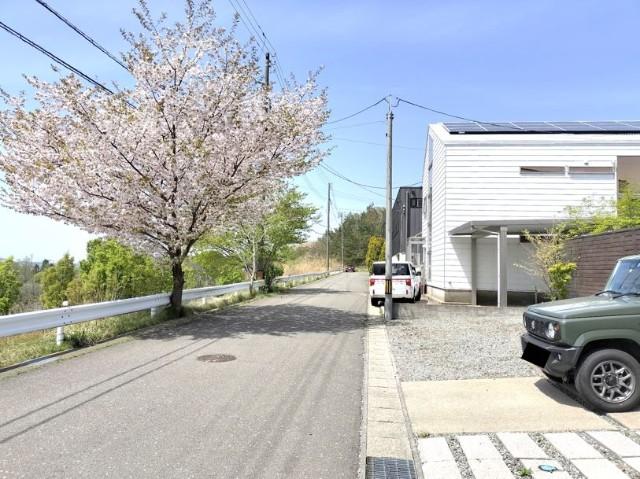春には綺麗な桜が見られます！