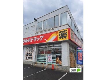 ツルハドラッグ南22条店：65m