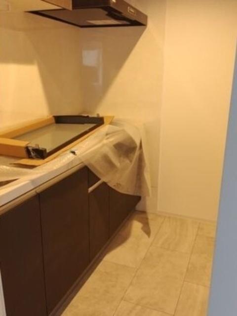 Ｔｅｒｒａｃｅ　Ｓａｋｕｒａ(テラスサクラ)（503） キッチン