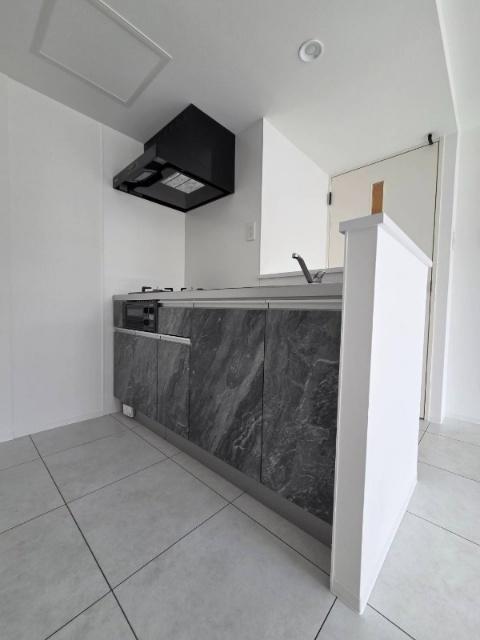 ＬＩＮＫ　Ｎ１９(リンクＮ１９)（301） キッチン
