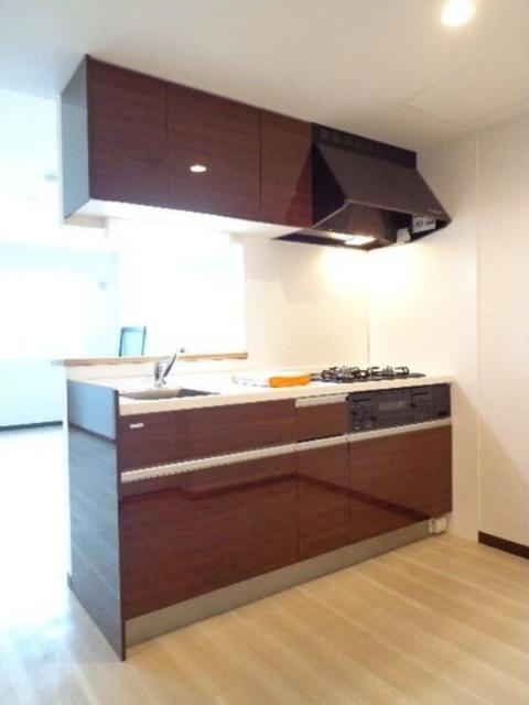 gran feliz N19(グランフェリスN19)（203） キッチン