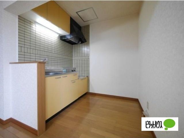 ロイヤルオーディンＢ（102） キッチン