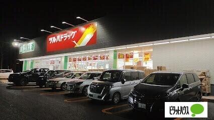ツルハドラッグ厚別南中央店：662m