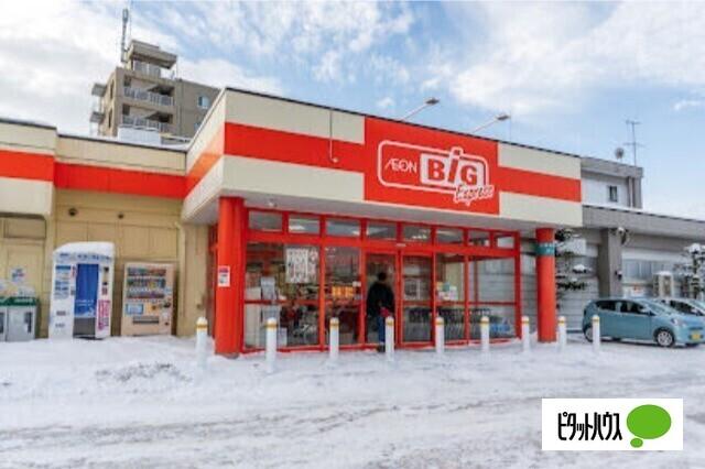 ザ・ビッグエクスプレス平岸店：290m