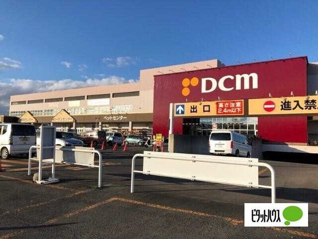 DCM西岡店：253m