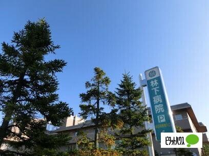 医療法人社団林下病院：222m