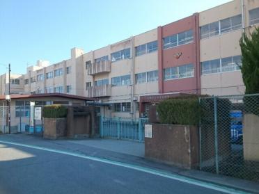 市立寺尾小学校：850m