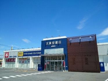 文真堂書店ゲオ倉賀野店：800m