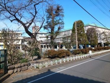 市立豊岡小学校：900m