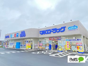 マルエドラッグ高崎新保店：624m