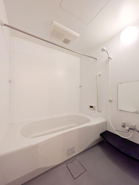 ヴィラ フォレスタ　Ａ（305） 部屋画像