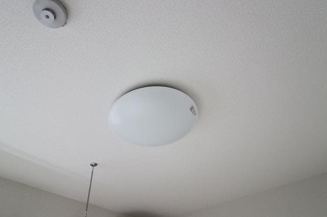 D-ROOM三河町（101） 部屋画像