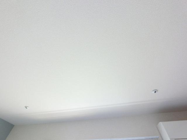 Ｈｅａｌｉｎ’ Ｇｒｏｖｅ　Ｓ（105） 部屋画像
