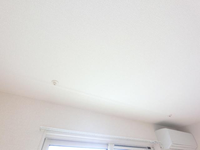 グローリア　Ｂ（203） 部屋画像