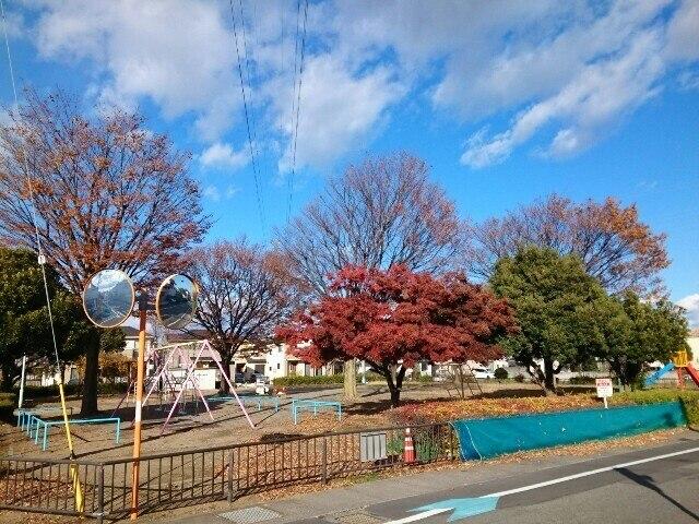 井ノ貝戸公園：250m