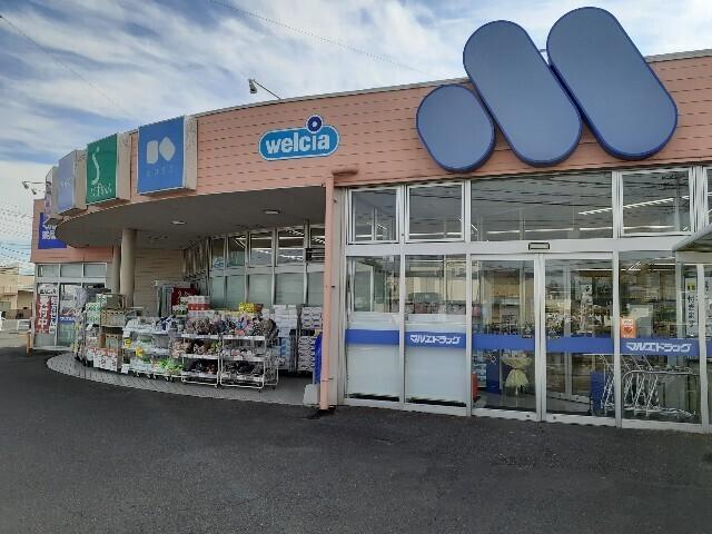 マルエドラッグ倉賀野店：1300m