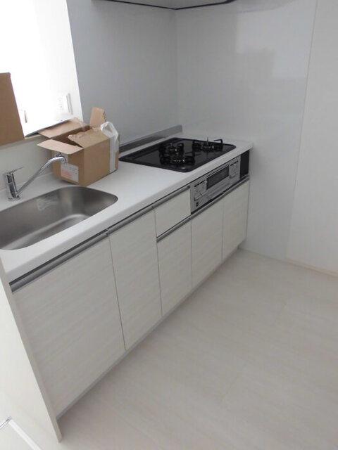 ジュネス江木（102） キッチン