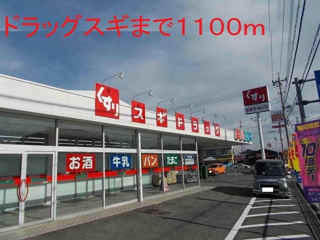 ドラッグストア：1100m