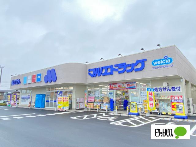 マルエドラッグ高崎棟高バイパス店：561m