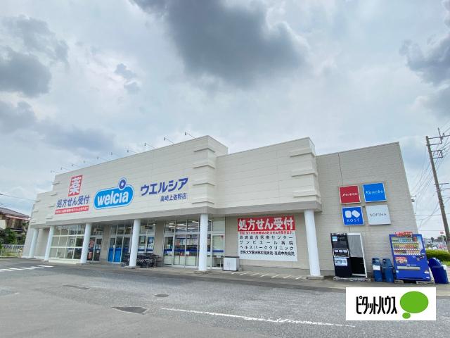 ウエルシア高崎上佐野店：600m