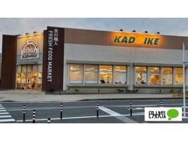 スーパーカドイケ裾野東店：500m