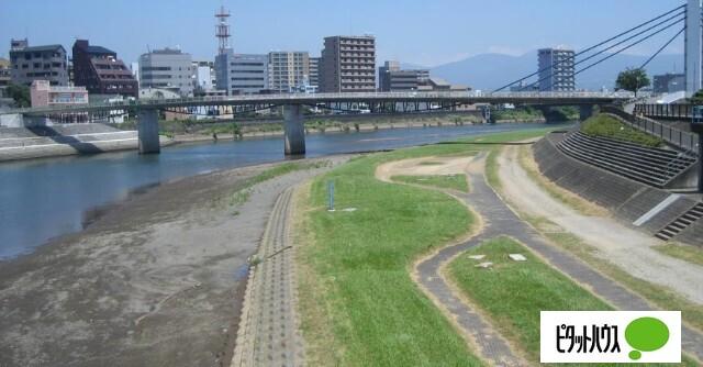 狩野川緑地：1017m