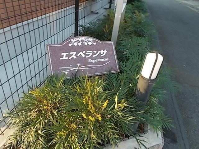 エスペランサ（101） その他