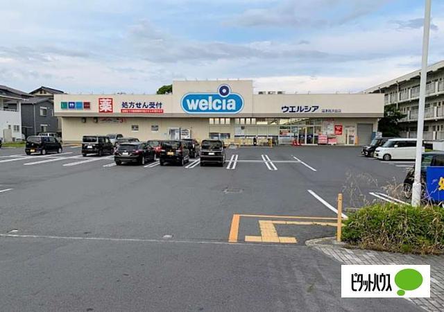 ウエルシア沼津西沢田店：587m