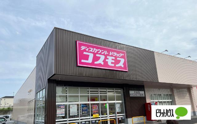 ディスカウントドラッグコスモス大岩店：656m